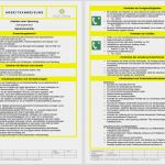 Betriebsanweisung Vorlage Kostenlos Fabelhaft atemberaubend Standardarbeitsanweisung Vorlage