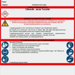Betriebsanweisung Vorlage Kostenlos Inspiration Betriebsanweisung Giftstoffe atemwege sofort Download