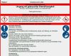 Betriebsanweisung Vorlage Kostenlos Wunderbar Betriebsanweisung Umgang Mit Gefahrstoffen sofort Download