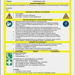 Betriebsanweisung Vorlage Word Best Of Großartig Betriebsanweisungen Vorlage Galerie