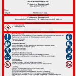 Betriebsanweisung Vorlage Word Großartig Wunderbar Betriebsanweisungen Vorlage Zeitgenössisch