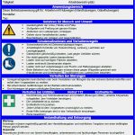 Betriebsanweisung Word Vorlage Großartig Großzügig Betriebsanweisungen Vorlage Ideen
