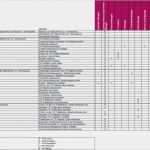 Betriebshandbuch Itil Vorlage Luxus Leseprobe Prozessdokumentation Des Continual Service