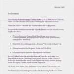 Beurteilung Praktikum Vorlage Bewundernswert Tagesmutter Zeppelinheim