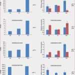 Bewerbermanagement Excel Vorlage Einzigartig Schnaps Etiketten Vorlage Gratis Elegant Flaschenetiketten