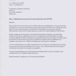 Bewerbung Aldi Teilzeit Vorlage Bewundernswert Bewerbung Als Verkauferin Ungelernt