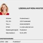 Bewerbung Als Krankenpfleger Vorlage Neu Lebenslauf Vorlage Krankenpfleger Bzw Krankenschwester