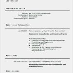 Bewerbung Als Krankenpfleger Vorlage Wunderbar Bewerbung Gesundheits Und Krankenpflegerin