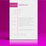 Bewerbung Als Merchandiser Vorlage Erstaunlich Einleitungssatz Bewerbung Als Dateivorlage Zum Download