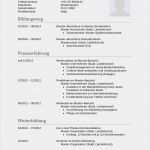 Bewerbung Als Sachbearbeiterin Vorlage Schönste Bewerbungsmuster Sachbearbeiter