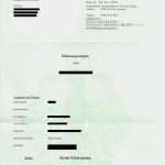 Bewerbung Alter Arbeitgeber Vorlage Hübsch Führungszeugnis