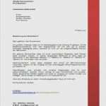 Bewerbung assistentin Der Geschäftsführung Vorlage Einzigartig 17 Initiativbewerbung Vorlage Kostenlos