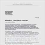 Bewerbung assistentin Der Geschäftsführung Vorlage Einzigartig Vorlage Arbeitszeugnis assistentin Der Geschäftsleitung