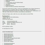 Bewerbung Auf Eine Interne Stellenausschreibung Vorlage Beste Bewerbung Gesundheitswirtin Pflege Berufseinsteiger