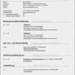 Bewerbung Ausbildung Groß Und Außenhandelskaufmann Vorlage Angenehm Handgeschriebenen Tabellarischen Lebenslauf Richtig