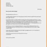 Bewerbung Din 5008 Vorlage Best Of 14 Din 5008 Vorlage Bewerbung