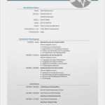 Bewerbung Einzelhandel Vorlage Bewundernswert Lebenslauf Vorlage 44 Bewerbungsschreiben