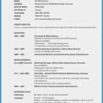 Bewerbung In Englisch Vorlage Großartig 12 Lebenslauf Englisch Muster