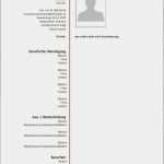 Bewerbung Informatiker Vorlage Angenehm Lebenslauf Bewerbung Informatiker Bewerbung Als