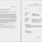 Bewerbung Kinderpflegerin Ausbildung Vorlage Großartig Bewerbung Ausbildungsstelle Lebenslauf Beispiel