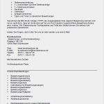 Bewerbung Kinderpflegerin Vorlage Best Of Bewerbung Wirtschaftsinformatiker It Berater