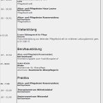 Bewerbung Kinderpflegerin Vorlage Einzigartig Bewerbung Stationsleiterin Ungekündigt Berufserfahrung