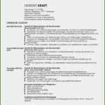 Bewerbung Kinderpflegerin Vorlage Fabelhaft 14 Bewerbung Kinderpflegerin