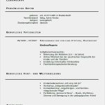 Bewerbung Kinderpflegerin Vorlage Luxus Niedlich Professionelle sozialarbeit Lebenslauf Bilder