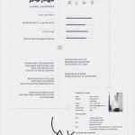 Bewerbung Kreativ Vorlage Wunderbar Vorlage Lebenslauf Kreativ Frisch Kreative Bewerbung