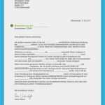 Bewerbung Muster Vorlage Einzigartig Bewerbungsvorlagen Kostenlos Herunterladen Bewerbung