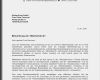 Bewerbung Online Vorlage Gut Muster 16 Bewerbung