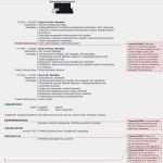 Bewerbung Per Email Vorlage Erstaunlich Bewerbung Nachfragen Per Email Luxus Muster