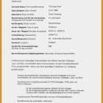 Bewerbung Praktikum Kindergarten Vorlage Erstaunlich Praktikum Bewerbung Kindergarten 9 Bewerbung Kita