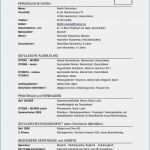 Bewerbung Praktikum Schüler 8 Klasse Vorlage Wunderbar 17 Vorlage Bewerbung Praktikum Schüler