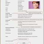 Bewerbung Praktikum theater Vorlage Hübsch 7 Bewerbung Praktikum 8 Klasse Vorlage