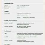 Bewerbung Praktikum Vorlage Word Bewundernswert 8 assistenzarzt Lebenslauf Vorlage Microsoft Word