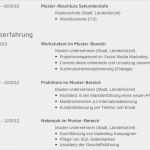 Bewerbung Produktmanager Vorlage Fabelhaft Muster Lebenslauf Word Muster Lebenslauf Informatiker