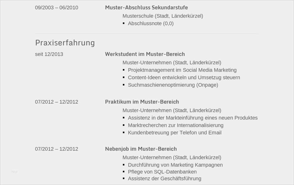 Bewerbung Produktmanager Vorlage Fabelhaft Muster Lebenslauf Word Muster Lebenslauf Informatiker