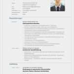 Bewerbung Stadtverwaltung Vorlage Erstaunlich Professionelle Bewerbung Vorlage – Vorlagen Komplett