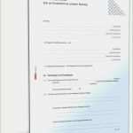 Bewerbung Stadtverwaltung Vorlage Wunderbar Bewerbung Grundstück Vorlage Bewundernswert Pachtvertrag