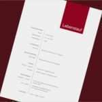 Bewerbung Und Lebenslauf Vorlage Best Of Bewerbung Schreiben Design