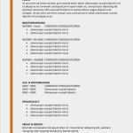 Bewerbung Und Lebenslauf Vorlage Großartig Vorlage Bewerbung Und Lebenslauf Mit orange Linie Cv