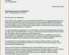 Bewerbung Verkauf Vorlage Elegant Bewerbung Minijob Muster Elegant Bewerbungsschreiben