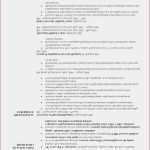 Bewerbungsflyer Vorlage Word Fabelhaft Bewerbungsflyer Erstellen Word Neu Flyer Vorlage Word Neu