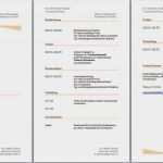 Bewerbungsflyer Vorlage Word Kostenlos Cool Bewerbungsflyer Vorlagen Kostenlos Download Cool