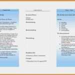 Bewerbungsflyer Vorlage Word Kostenlos Erstaunlich Bewerbungsflyer Vorlage Word Papacfo