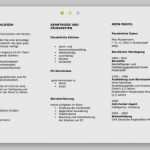 Bewerbungsflyer Vorlage Word Kostenlos Großartig Bewerbungsflyer Vorlagen Kostenlos Download Erstaunlich