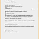 Bewerbungsschreiben 2016 Vorlage Schönste Vorlage Bewerbungsschreiben Resignation format – Vorlagen 365