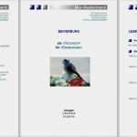 Bewerbungsschreiben Vorlage Libreoffice Einzigartig Www Initiativbewerbung De