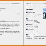 Bewerbungsschreiben Vorlage Word 2018 Gut 7 Bewerbungsschreiben Vorlage Kostenlos Word